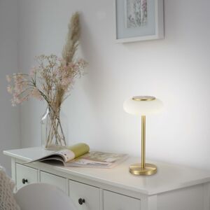 Q-Smart-Home Paul Neuhaus Q-ETIENNE LED stolní lampa, mosaz